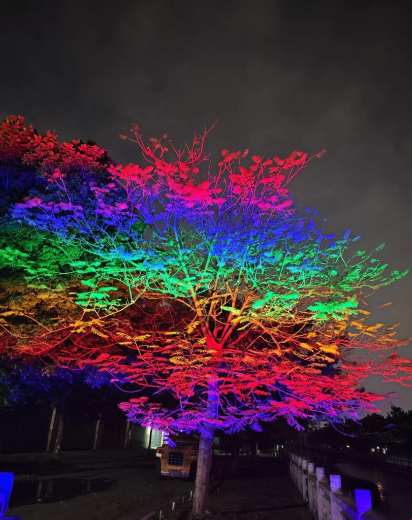 Árvore frondosa iluminada por refletores LED RGB em efeito arco-íris, azul e verde de um lado e vermelho e amarelo do outro, à margem de um canal com balaustrada de pedra.