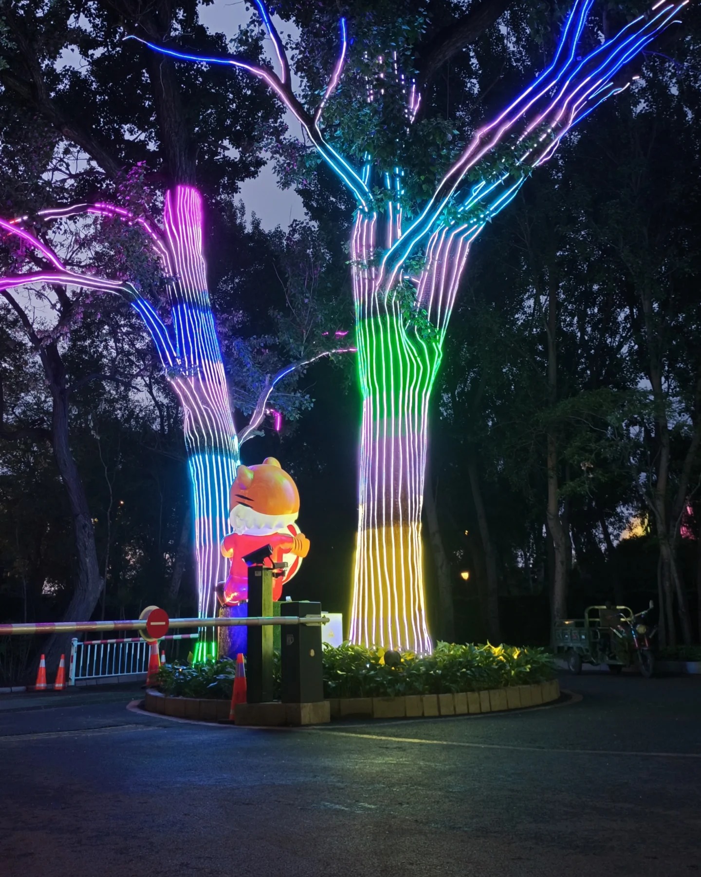 Árvore de grande porte à noite com tronco e galhos contornados por fitas LED RGB em faixas azul, ciano e verde, em praça com rotatória