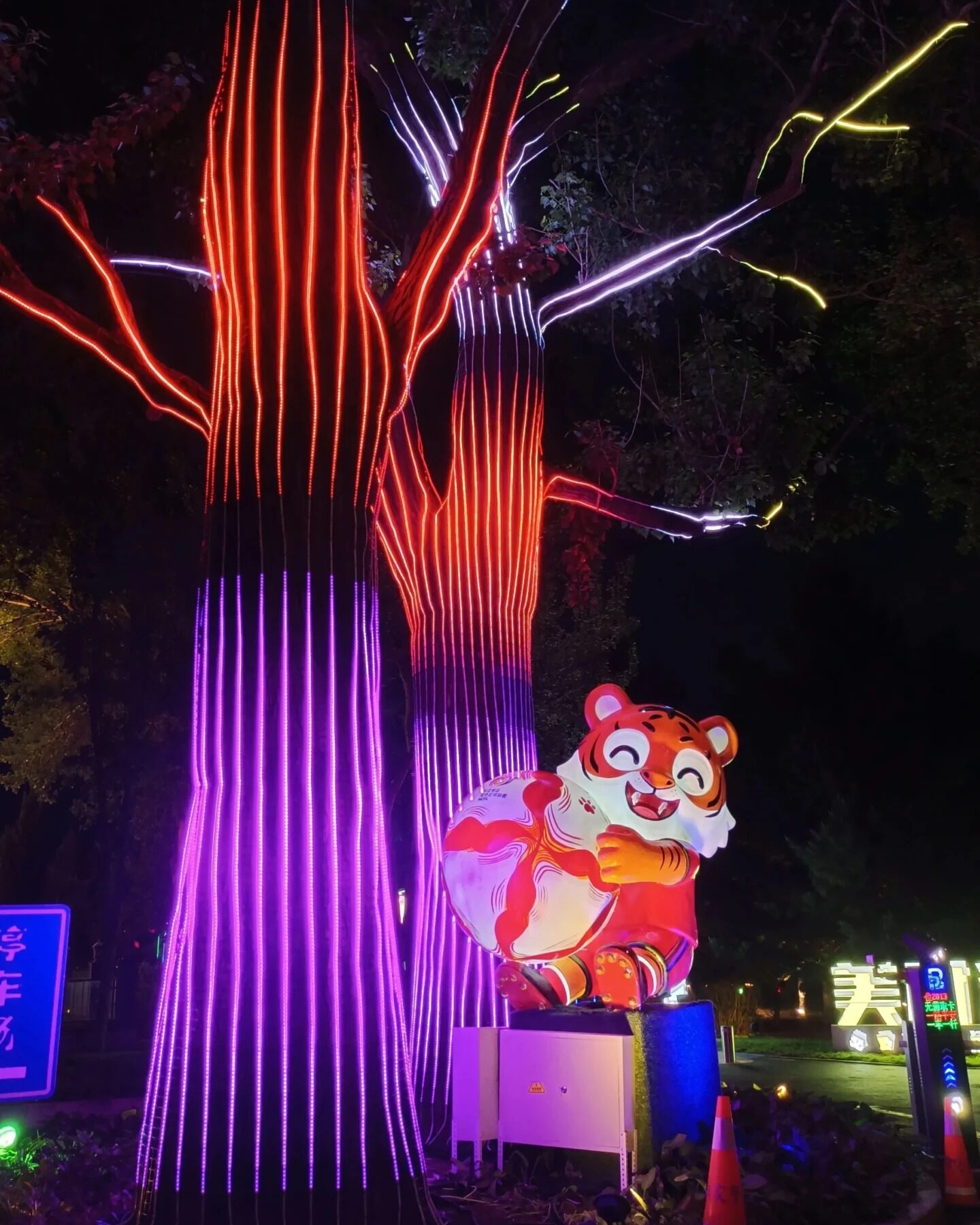 Detalhe do tronco de árvore cênica com fitas LED RGB em vermelho e roxo e galhos em branco, com lanterna decorativa iluminada na base
