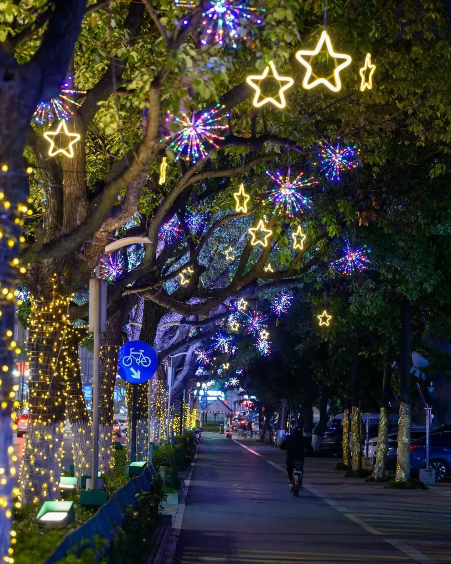 Alameda arborizada à noite com árvores decoradas por estrelas de luz branca e motivos de fogos coloridos presos aos galhos, com ciclista ao fundo